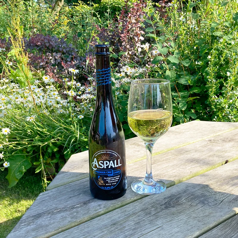Aspall Premier Cru Cyder 500ml x 12