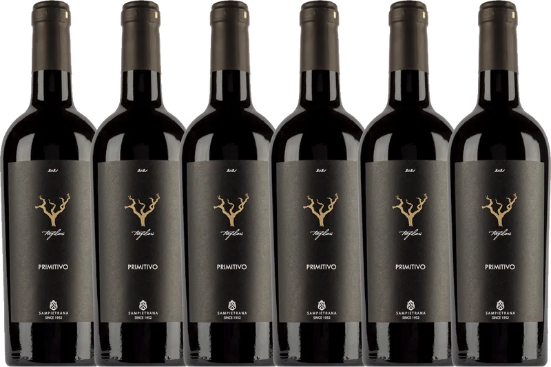 Trefilari Appassite Primitivo - 6 Bottle Wine Case