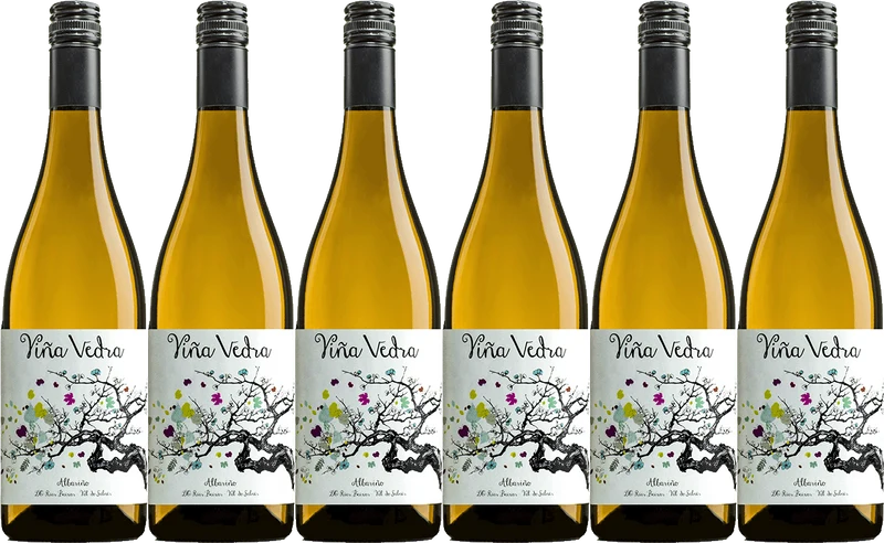 Viña Vedra Albariño - 6 Bottle Wine Case