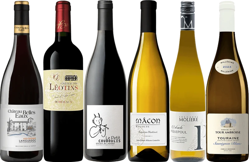 Best of the French Wine Sale - 6 Bottle Mixed Wine Case