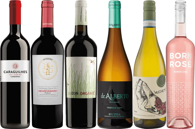Organic Wine Discovery - 6 Bottle Mixed Wine Case
