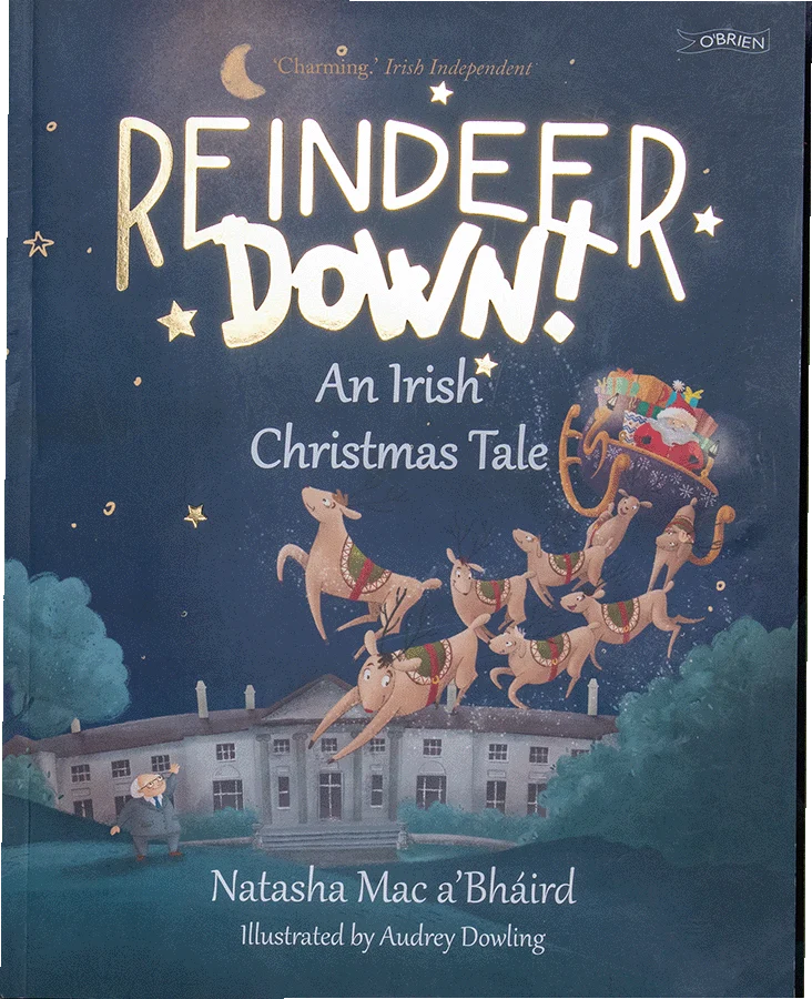 Reindeer Down An Irish Christmas Tale Book