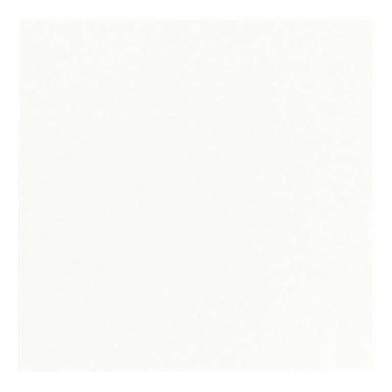COPRIMACCHIA BIANC DUNISOFT 50pz 100x100 COPRIMACCHIA DUNI 165055 BIANCO