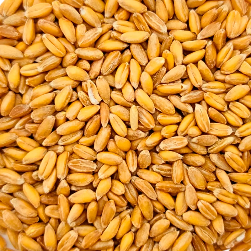 Espelta Ecológica - 500g