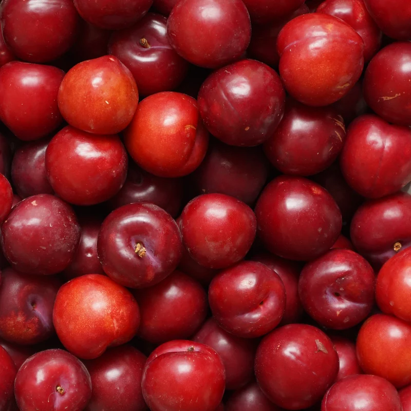 Ciruela Roja ecológica - 360g