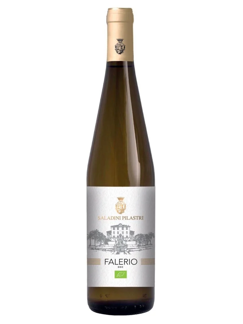 Saladini Pilastri Falerio