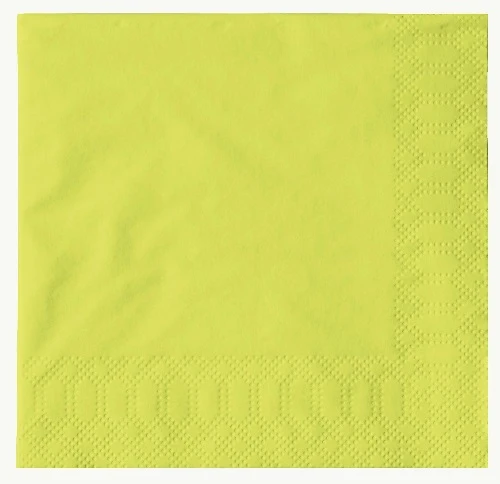 TOVAGLIOLINI 2VELO 24x24 KIWI x300pz DUNI 168388 DUNI