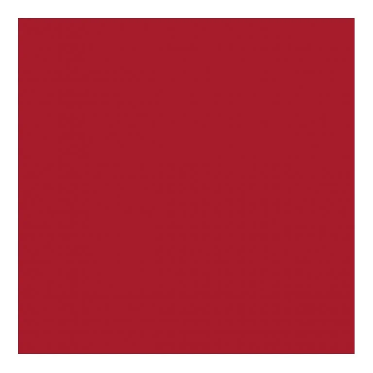 COPRIMACCHIA RED DUNISOFT 50pz 100x100 COPRIMACCHIA DUNI 169623