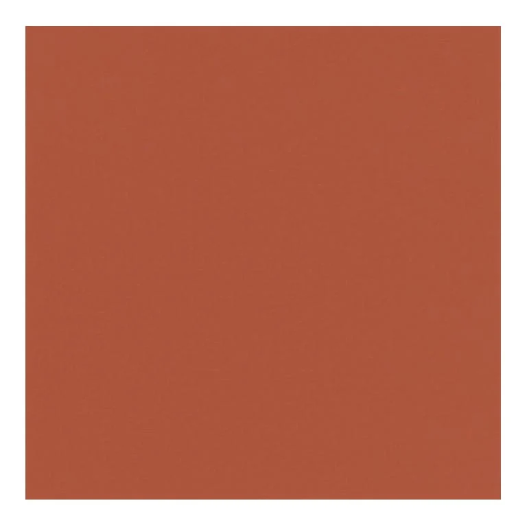 COPRIMACCHIA MANDR DUNISOFT 50pz 100x100 COD. 198832 MANDARINO (terracotta) DUNI