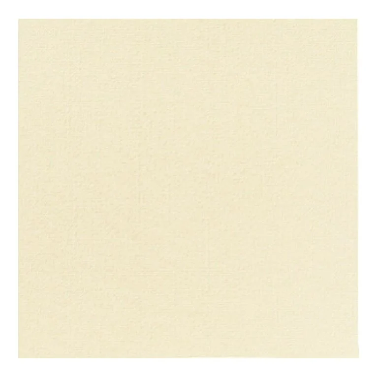 COPRIMACCHIA CHAMP DUNISOFT 50pz 100x100 COPRIMACCHIA DUNI 165056 CHAMPAGNE