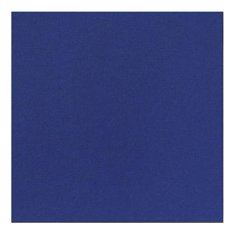 COPRIMACCHIA DARK DUNISOFT 50pz 100x100 COPRIMACCHIA DUNI 165059 DARKBLUE