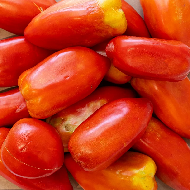 Tomate pimiento ecológico - 500g