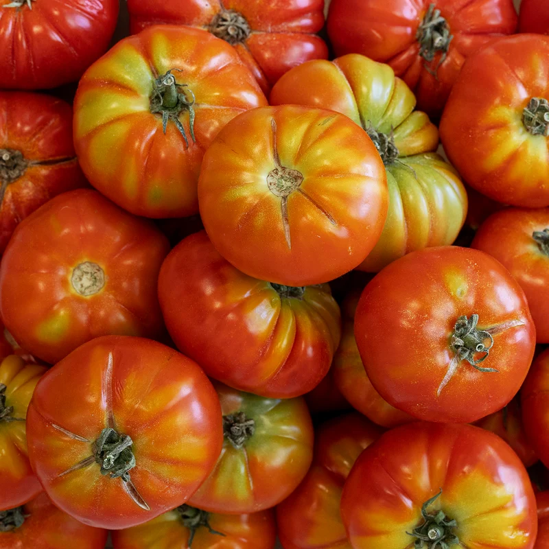 Tomate marmandino ecológico - 500g