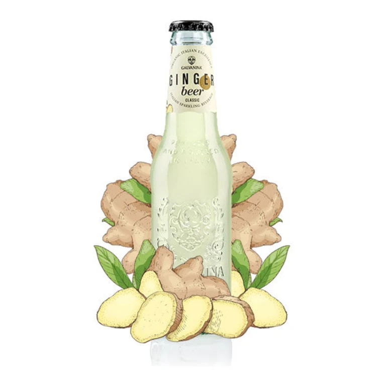 GALVANINA GINGER BEER 20CL.