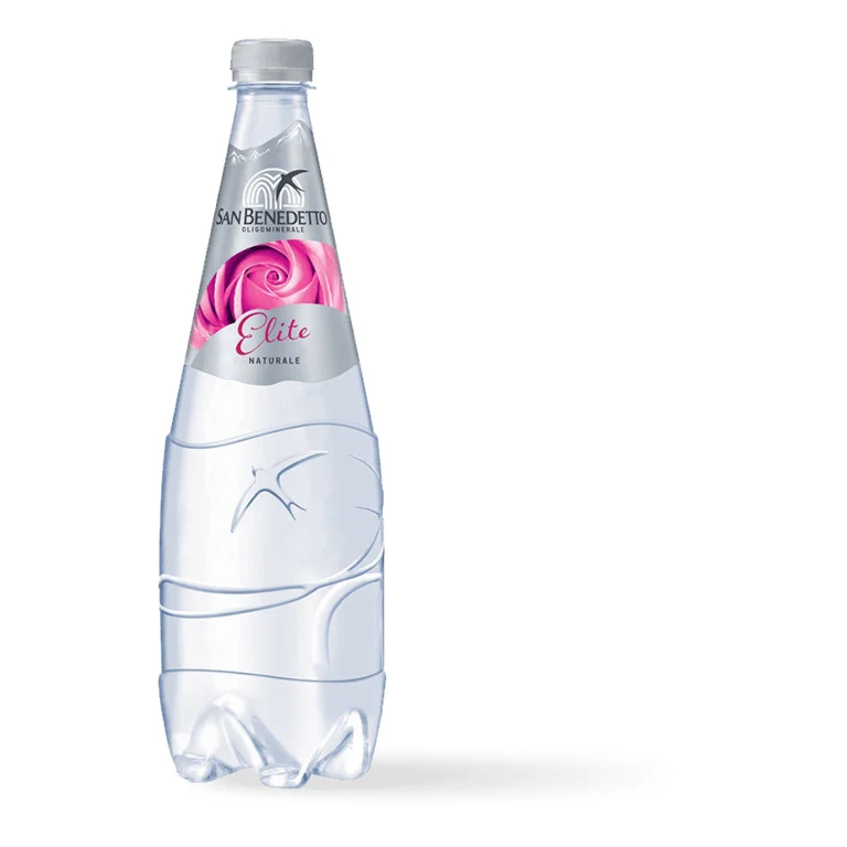 ACQUA SAN B.NATURALE 1LTx12 PET ELITE