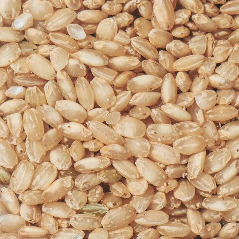 Arroz bomba integral ecológico - 500g