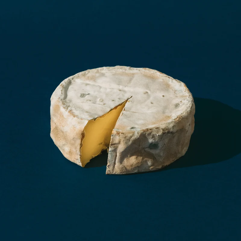 Queso Terra Airas Moniz - 200g