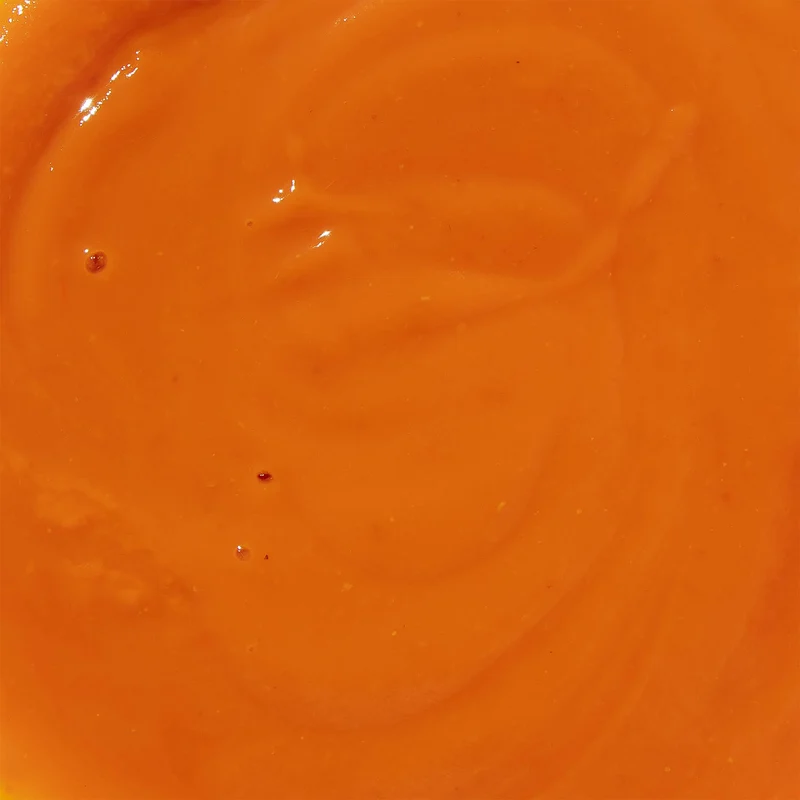 Salsa de tomate fina - 300g