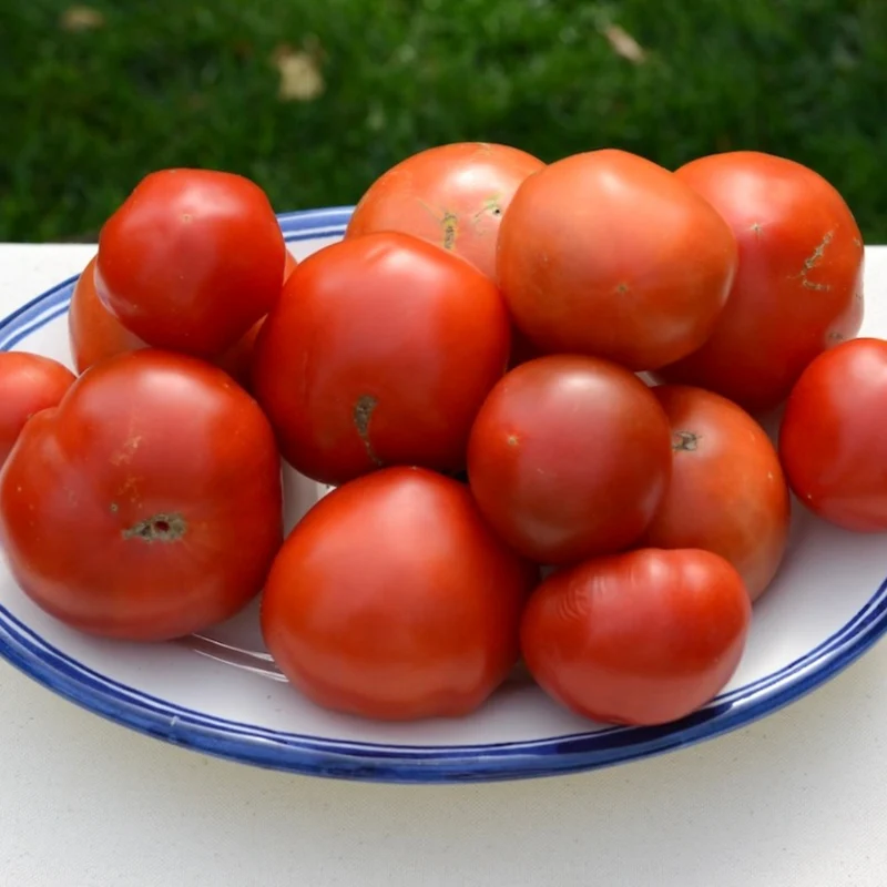 Tomate Moruno ecológico - 500g