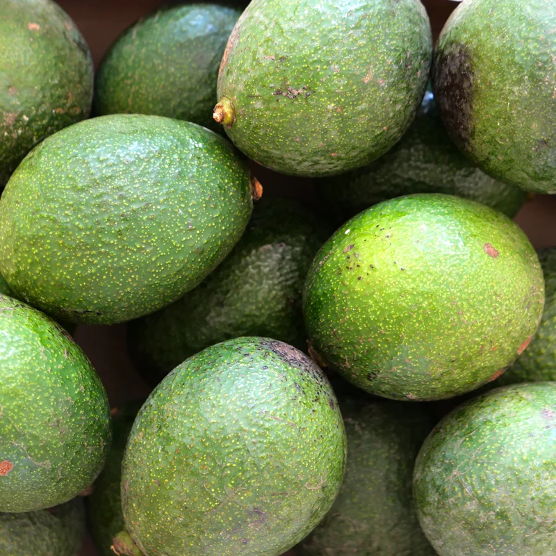 Aguacate Reed - 500g