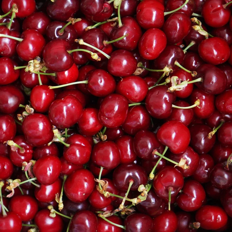 Cerezas ecológicas - tarrina 550g aprox