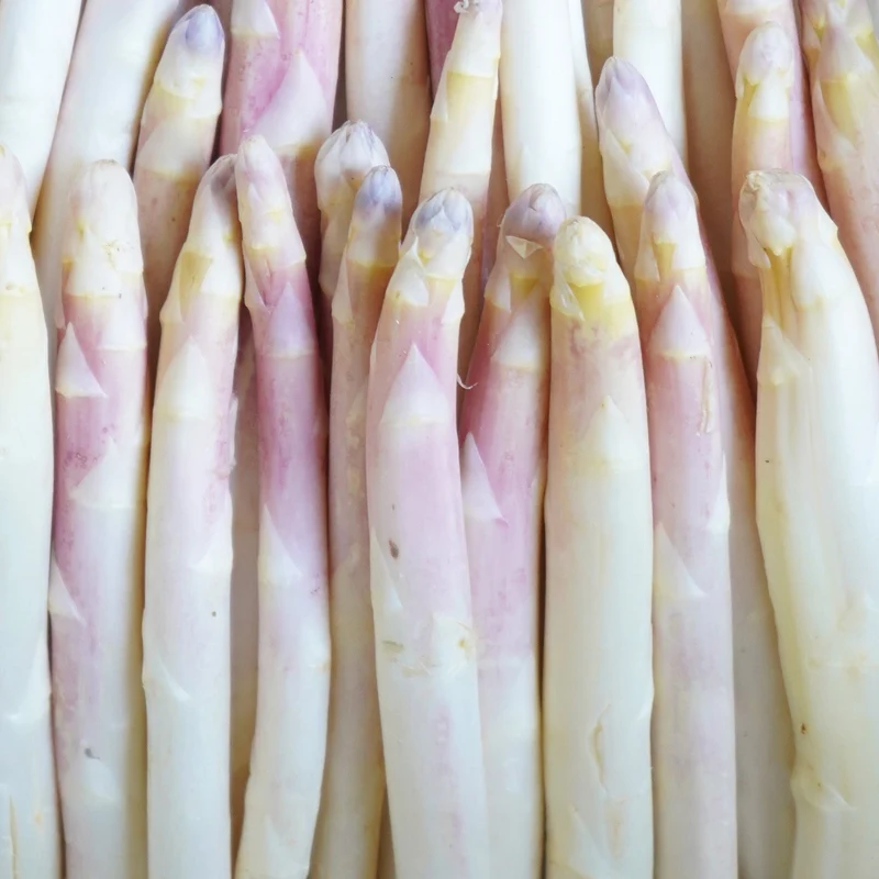 Espárragos blancos ecológicos - 500g