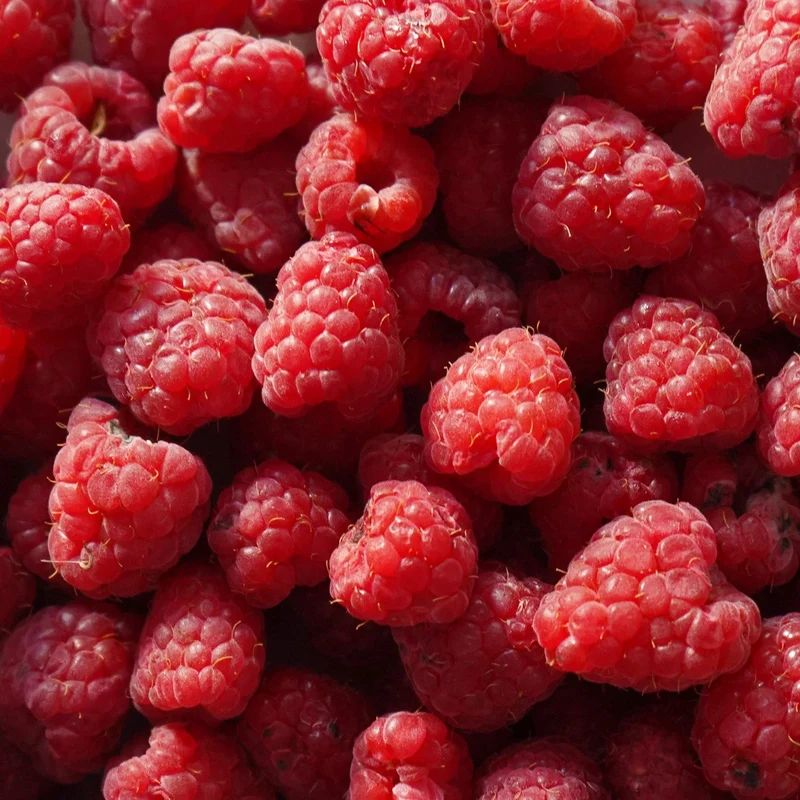 Frambuesas ecológicas - 125g