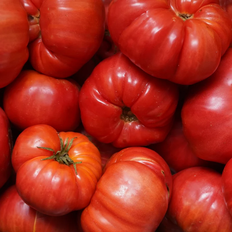 Tomate Rosa ecológico - 500g