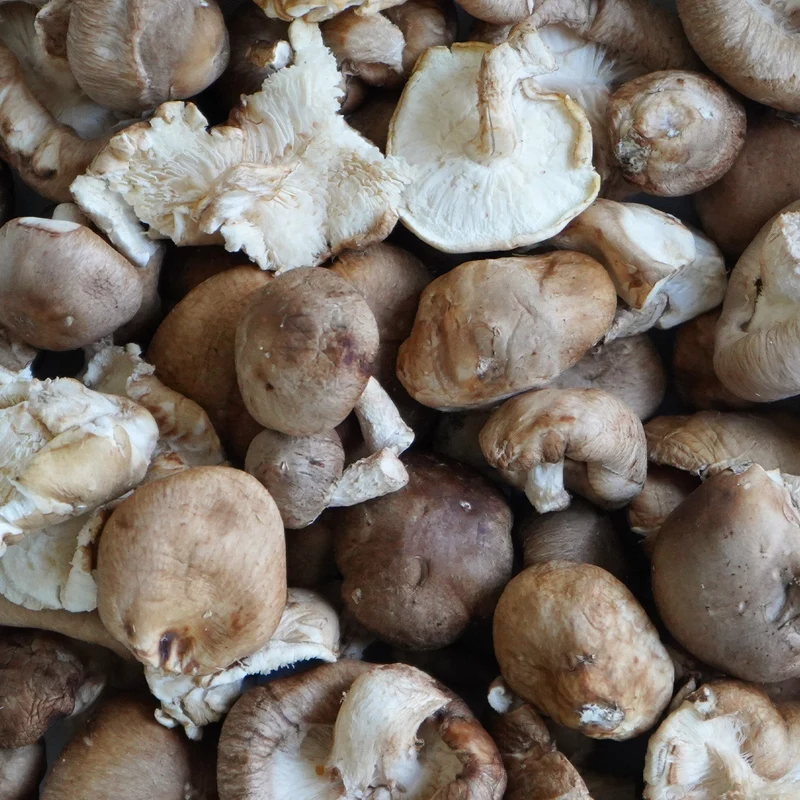 Seta Shiitake ecológica - 200g