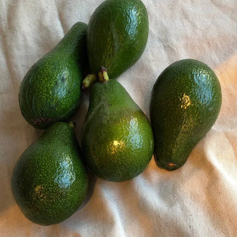 Aguacate Bacon ecológico - 300g
