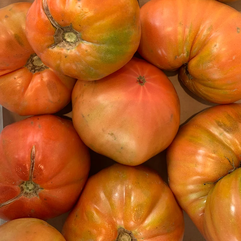 Tomate feo de Tudela - 500g