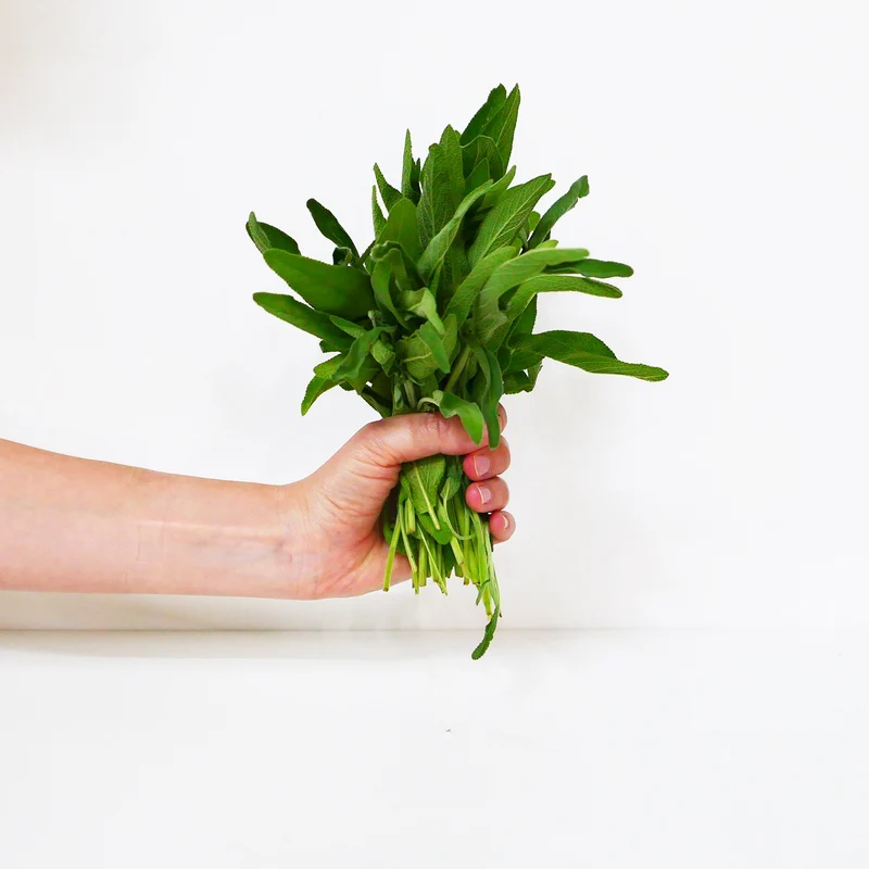 Salvia ecológica fresca - manojo 70g