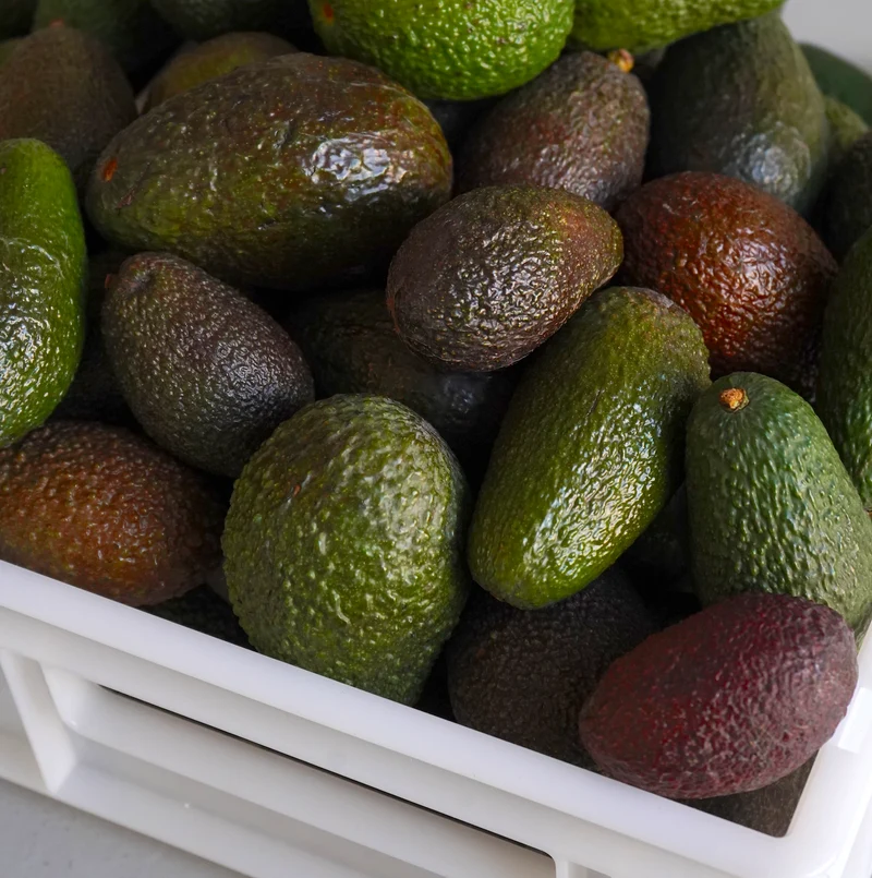 Aguacate Hass ecológico - 560g