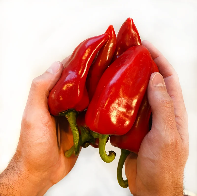 Pimiento de piquillo ecológico - 125g