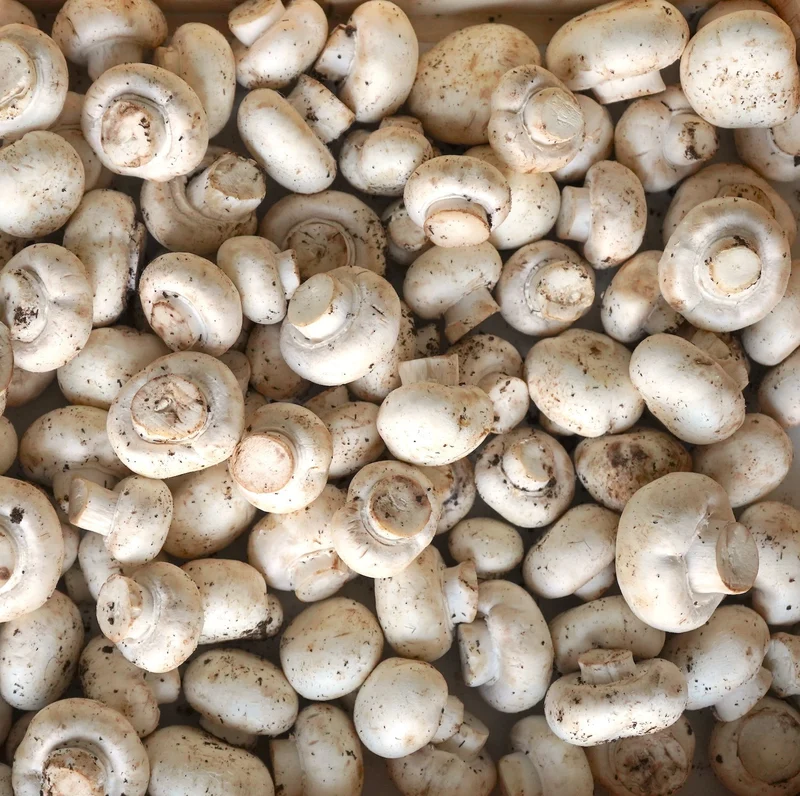 Champiñón blanco ecológico - 200g
