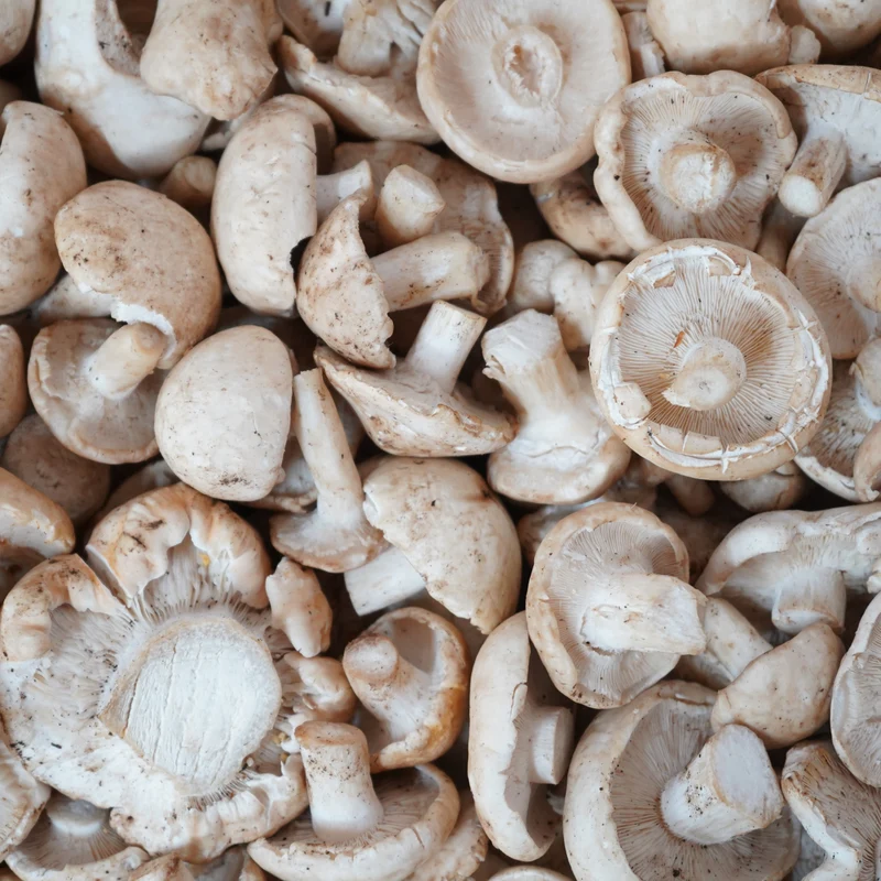 Perretxikos silvestres - 100g