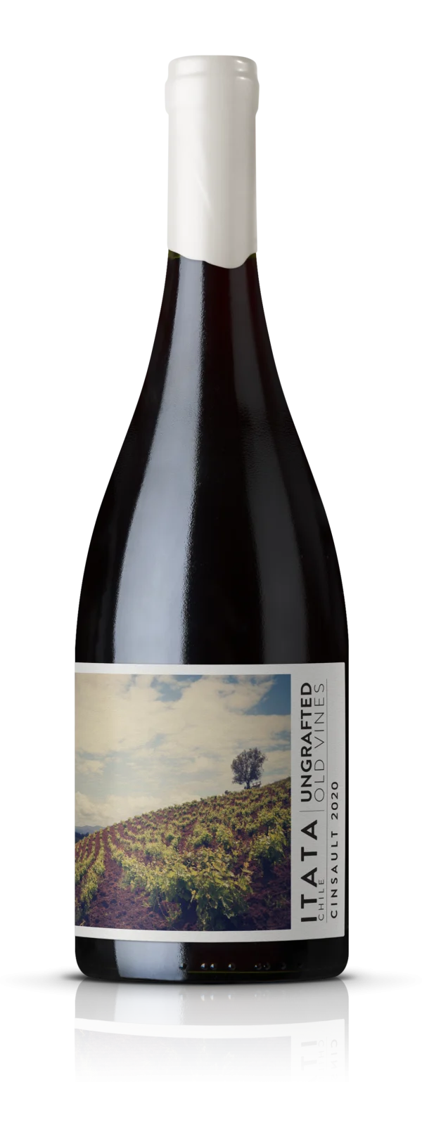 De Martino Ungrafted Cinsault 2022
