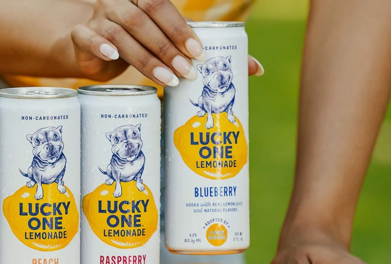 Cocktail Lucky One 4pk Blueberry Vodka Lemonade
