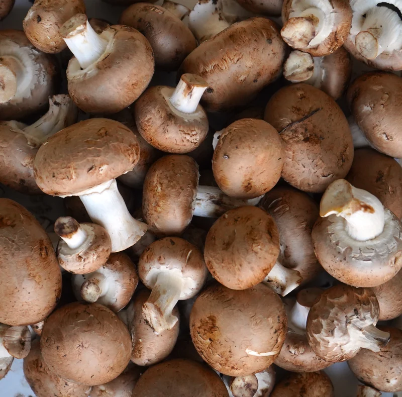 Champiñón Portobello ecológico - 200g