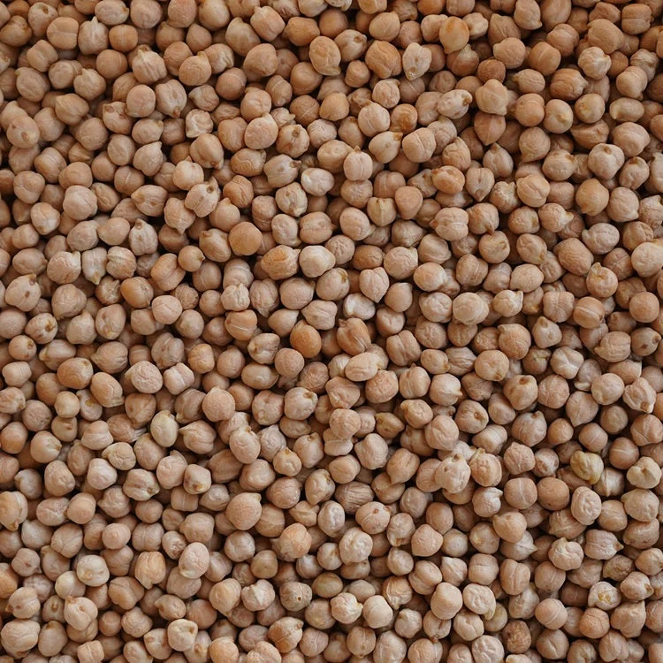 Garbanzo pedrosillano ecológico - 500g