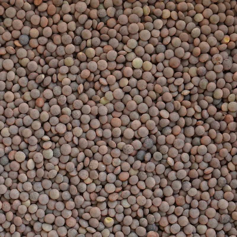 Lenteja pardina ecológica - 500g