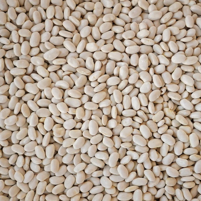 Alubia blanca ecológica - 500g