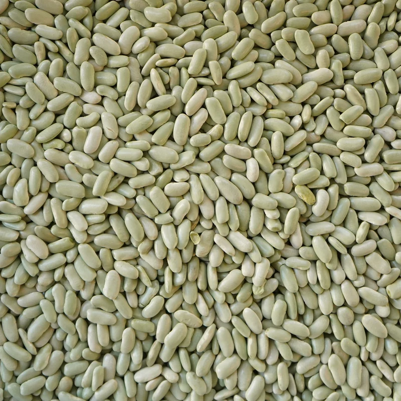 Alubia verdina ecológica - 500g