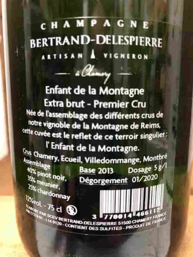 Bertrand Delespierre
