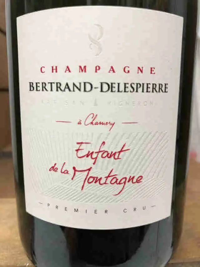 Bertrand Delespierre