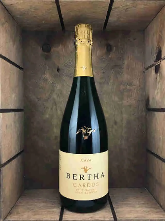 Bertha Cardús