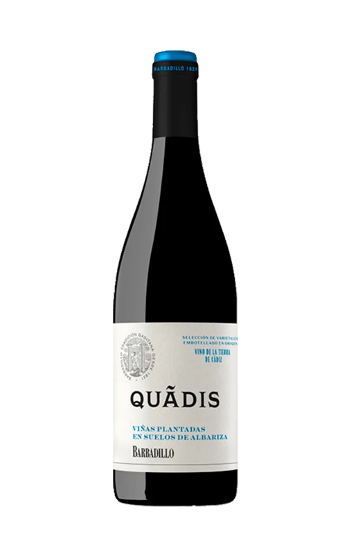 Quadis Joven