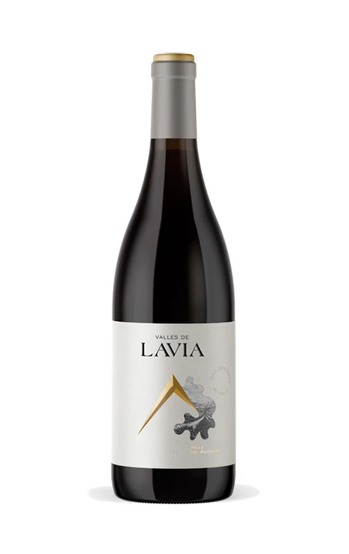 Valles de Lavia Aceniche 2021