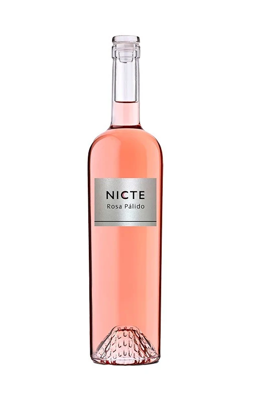 Nicte 2025
