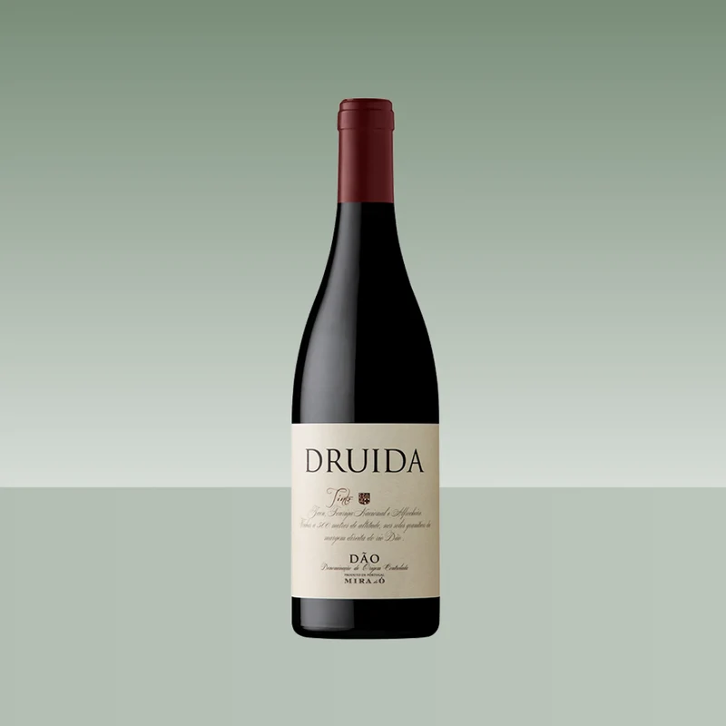DRUIDA 2019